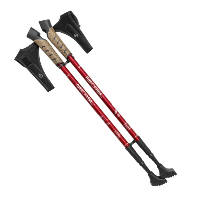2 Stück Teleskop-Wanderstöcke  – Trekking Pole Carbon Bewertung und Preis